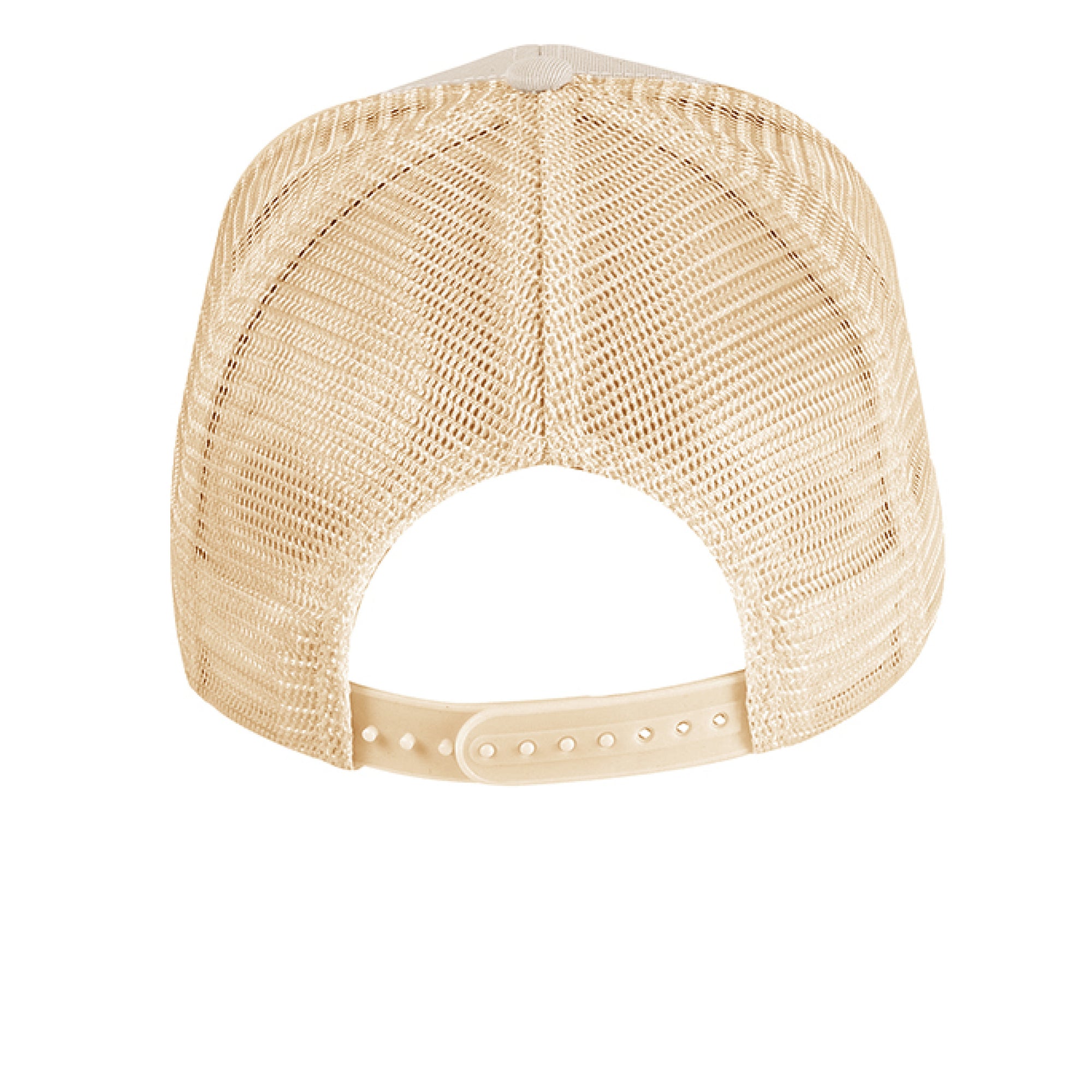 OYSTER / OYSTER - BACK